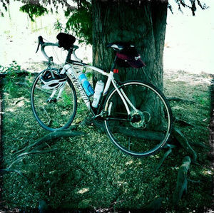 Meet your Posher, Sherri